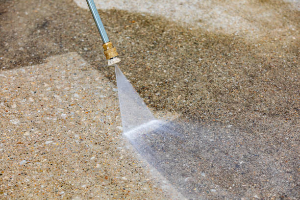 Best Sidewalk and Walkway Cleaning  in Double Springs, AL