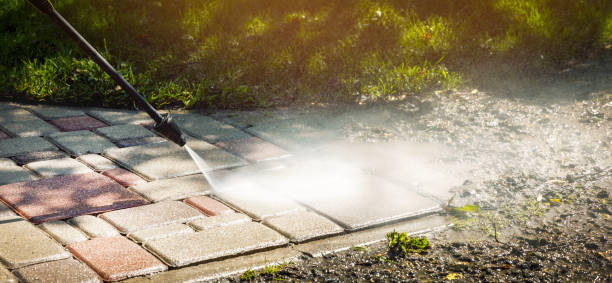 Best Gutter Cleaning  in Double Springs, AL
